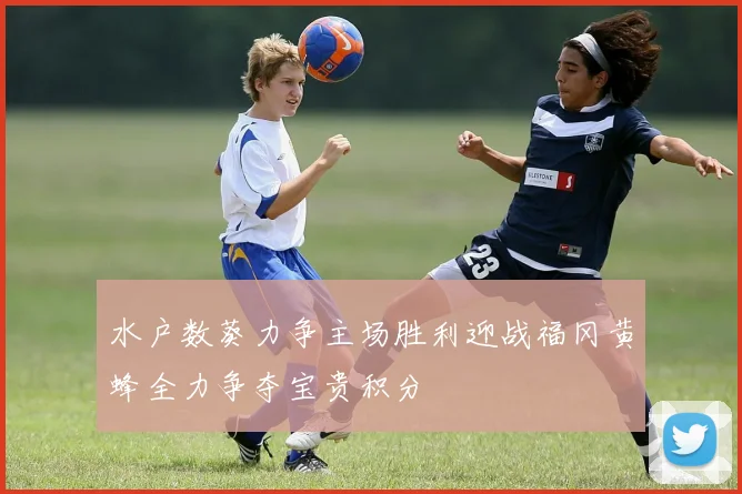 水户数葵力争主场胜利迎战福冈黄蜂全力争夺宝贵积分