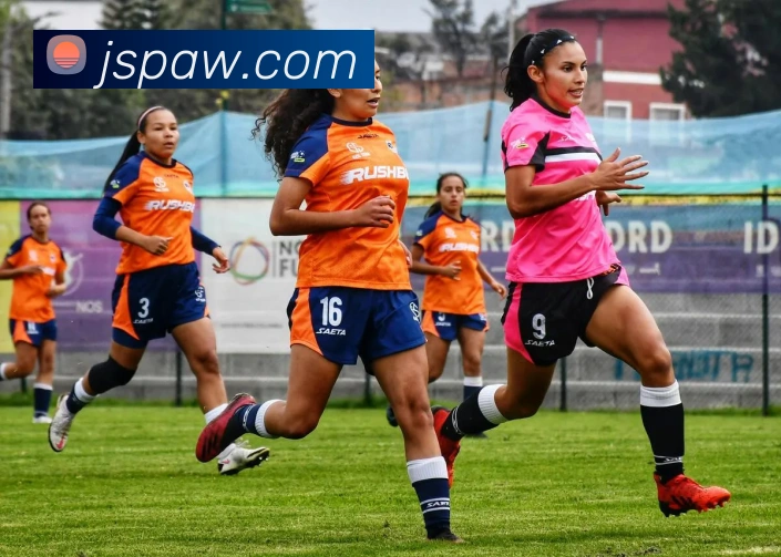 金年会品牌故事