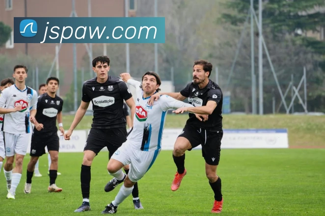 金年会服务体系